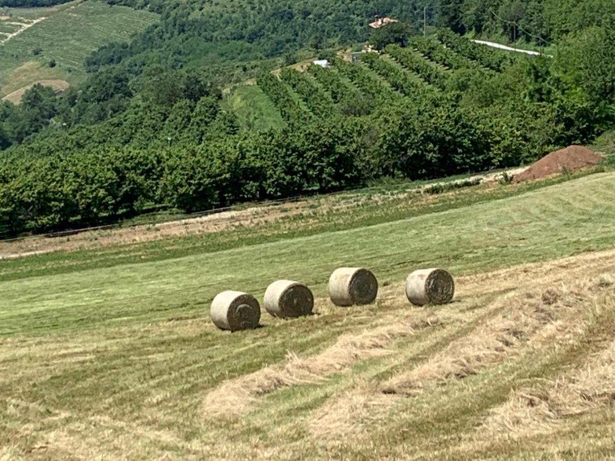 Bed and Breakfast La Luce Delle Colline Serravalle delle Langhe Exterior foto